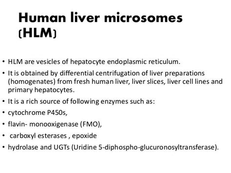 liver microsomes|liver microsomes vs hepatocytes.